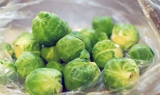 孢子甘蓝宝宝可以吃吗 孢子甘蓝好吃么