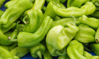 尖椒的储存方法（尖椒的储存方法和营养）