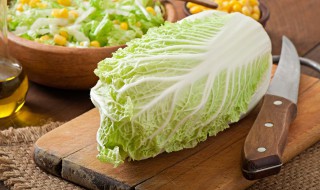 储存大量白菜的方法（储存大量白菜的方法英文）
