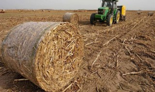 秸秆储存方法（玉米秸秆储存方法）