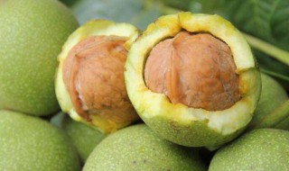 鲜核桃储存方法（怎样储存新鲜核桃）