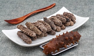 鲜海参的储存方法 鲜海参的储存方法有哪些