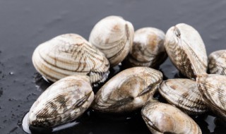 花甲储存方法 花甲储藏方法