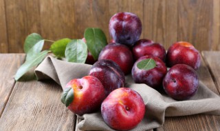 马路边的李子可以吃吗（路边上的李子可以吃吗）