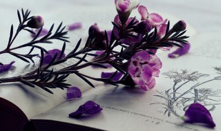 霜降出生的孩子小名 霜降起小名