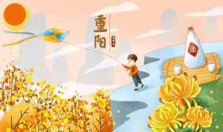 重阳节的特点和寓意（重阳节象征的意义）