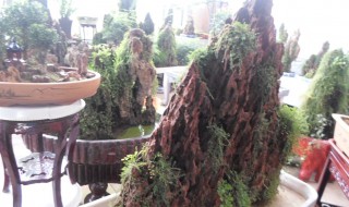 怎么用红砖做吸水石 吸水石制作过程