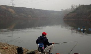 台钓如何钓浮 台钓如何钓浮如何调漂
