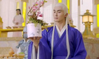 枕上书阿兰若的故事 枕上书阿兰若梦境结局