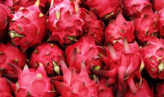 火龙果的功效与作用是什么 火龙果的功效是啥