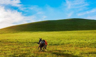 有关草原的电视剧有哪些 关于草原的电视剧
