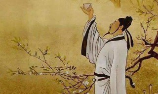 李白生平 李白生平经历