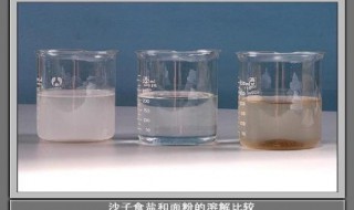 四年级科学什么叫溶解（四年级科学水的溶解实验）