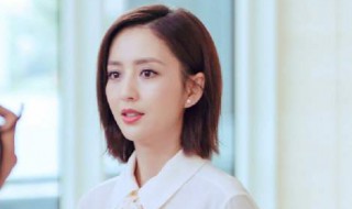 完美关系演员（完美关系演员表全部演员表）