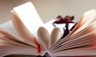 简短正能量语录 努力简短正能量语录