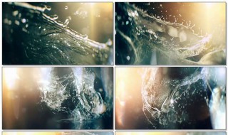 成马照片如何下载（马图片下载）