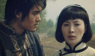 荷花治国是什么电视剧 保国荷花的电视剧