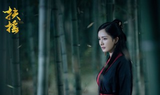 扶摇第几集和无极在一起 扶摇和无极第几集结婚