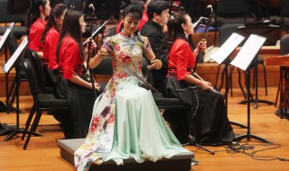 二胡怎么校声（二胡咋调音）