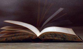 玄幻小说巅峰之作有哪些 求玄幻小说巅峰之作是哪部小说