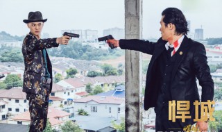 类似余罪悍城的电视剧（有什么类似余罪这种电视）