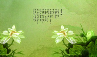 爱莲说运用了什么写作手法（爱莲说运用了什么写作手法表现了作者怎样的志向或情操）