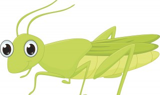 蝗虫最怕什么 蝗虫最怕什么动物