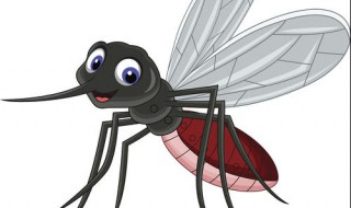 蚊子的寿命（蚊子的寿命有多长）