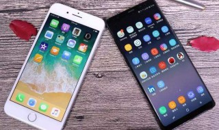 8p网络信号差怎么回事 为什么我的8p网络信号差