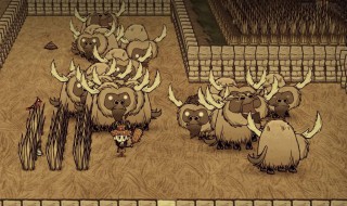 饥荒如何养牛（饥荒如何养牛?）