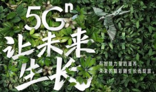 联通小歪卡流量怎么算 联通小歪卡免流