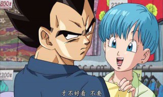 贝吉塔和布尔玛什么时候在一起的 贝吉塔和布尔玛什么时候在一起的 视频