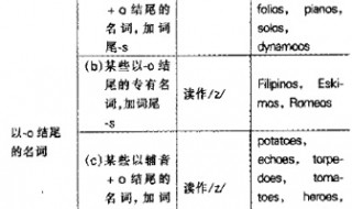 辅音字母加o结尾的名词变复数（以o字母结尾的名词怎么变复数）