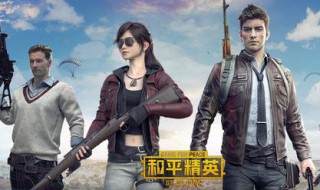 电脑版和平精英停止运行怎么办（和平精英电脑版无法运行）