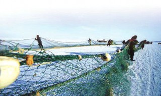 乌伦古湖冬季捕鱼的原因（乌伦古湖禁渔期）
