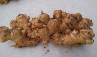 种姜10亩要多少成本 种姜每亩成本多少钱