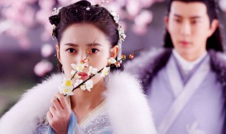 两世欢演员表 两世欢演员表介绍