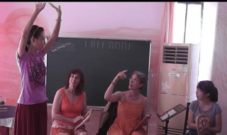 莱雅琴自学基本指法（莱雅琴自学基本指法16弦）