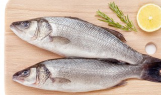 鱼鸭混养缺点 鱼鸭混养经济效益分析