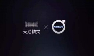 天猫精灵怎么连接手机 天猫精灵怎么连接手机网络