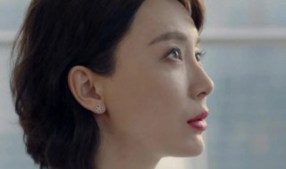 斯黛拉是什么电视剧（陈数演的角色斯黛拉是什么电视剧）