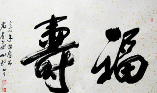 耄耋与什么字同音 耄耋与什么字同音并组词