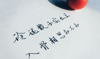 表达爱情的诗句 杜甫表达爱情的诗句