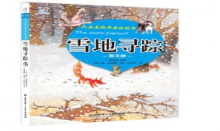 雪地寻踪摘抄优美句段（雪地寻踪精彩句段）