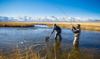 野钓老三样要加拉丝吗（野钓老三样拉饵加多少拉丝粉）