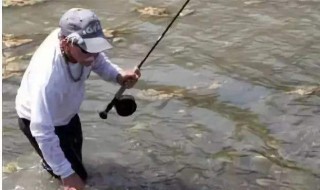 5号袖钩滑钩怎么回事（5号袖钩拉力）