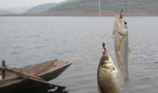 在大河里走水怎么控制浮漂 在大河里走水怎么控制浮漂上的水