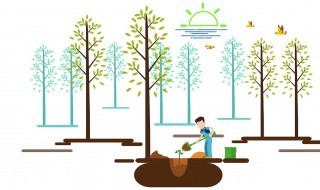 做梦植树怎么回事 做梦植树怎么回事儿