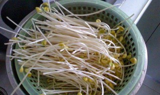 炒芽菜如何清洗 菜芽怎么炒