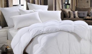 白鹅绒被如何洗（白鹅绒被怎么洗）